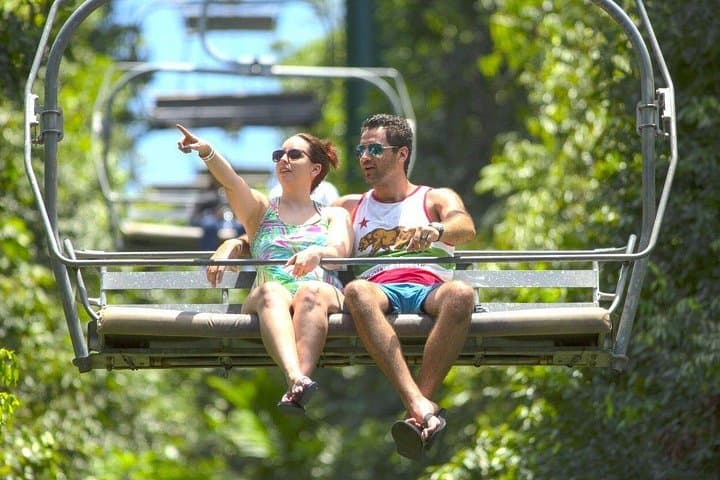 Ocho Rios Rainforest & Falls: Dunn's River Climb and Mystic Mountain Zipline from Grand Palladium photo 1