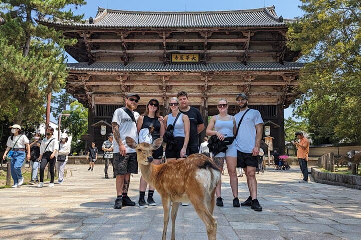 Nara E‑Bike and Osaka History Food Tour: Full‑Day Cultural Ride and Tastes photo 2