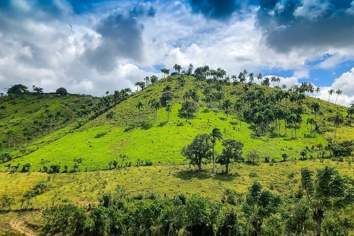 Punta Cana Countryside Tour: Sugarcane, Coffee & Macao Beach photo 6
