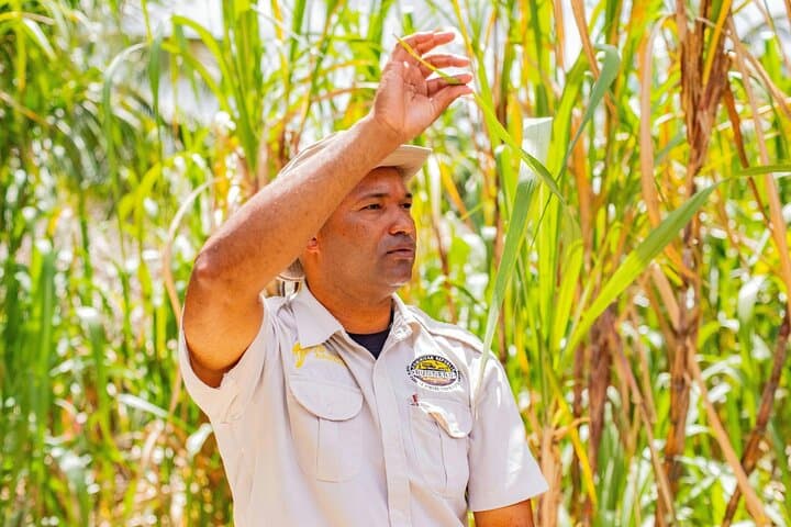 Punta Cana Countryside Tour: Sugarcane, Coffee & Macao Beach