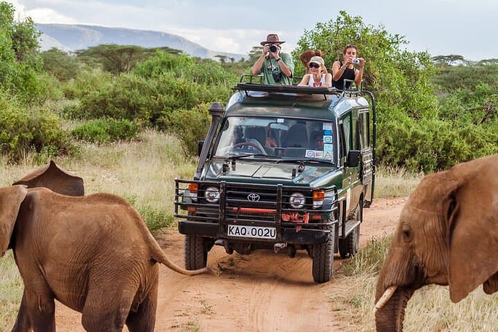 Nairobi Wild Heart: City Safari and Heritage Tour photo 2