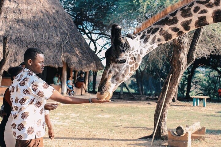 Nairobi Wild Heart: City Safari and Heritage Tour photo 5