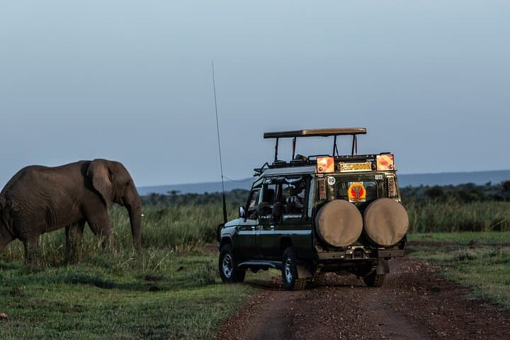 4-Day Safari from Mombasa to Amboseli and Tsavo West & East photo 1