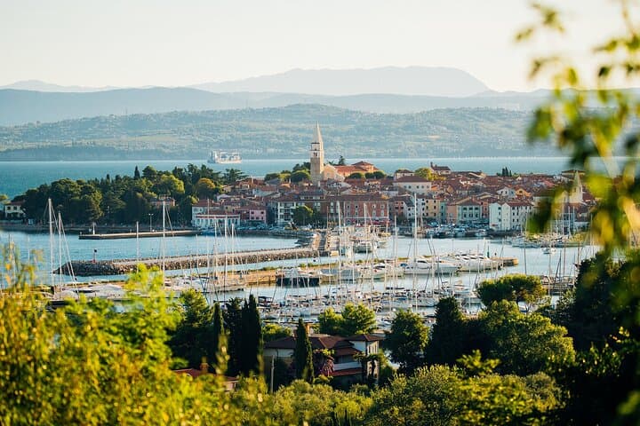 Hop and Taste Slovenia: Koper, Izola & Marezige Coastal Loop photo 3