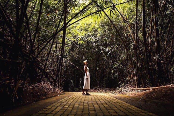 Eastern Bali Besakih Temple and Tukad Cepung Waterfall Day Tour photo 4