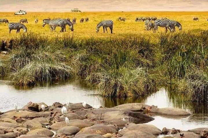 4-Day Private Safari to Serengeti & Ngorongoro — Big Five Crater Game Drives photo 2