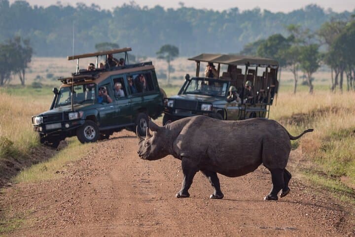 Full-Day Tarangire Safari: Private Game Drive to See Elephants & Baobabs
