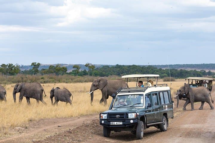 Full-Day Ngorongoro Crater Safari: Private Wildlife Adventure from Arusha photo 3