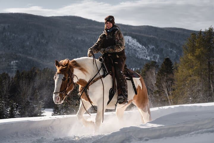 Guided Horseback Riding in Baie-Saint-Paul Valley — 90-Min Trail Ride in Charlevoix
