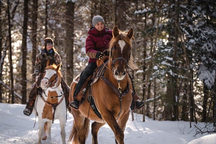 Guided Horseback Riding in Baie-Saint-Paul Valley — 90-Min Trail Ride in Charlevoix photo 2