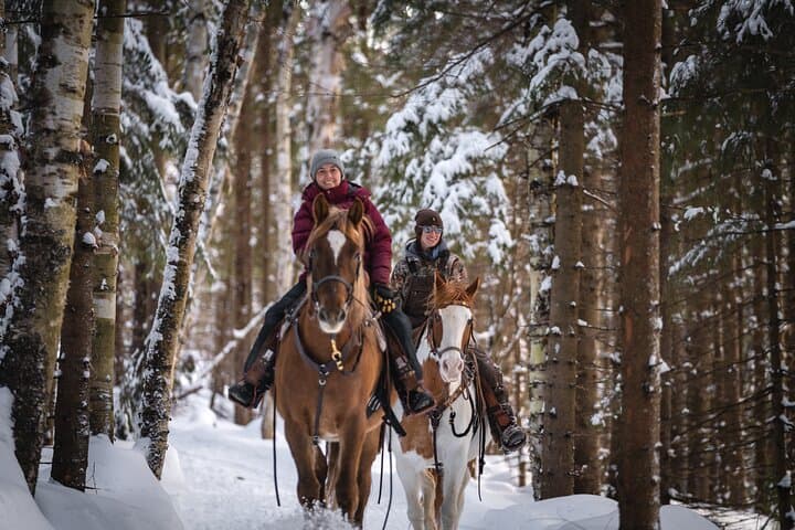 Guided Horseback Riding in Baie-Saint-Paul Valley — 90-Min Trail Ride in Charlevoix photo 5
