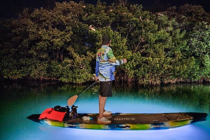 Anna Maria Island LED Night Paddleboard Tour: Mangrove & Wildlife Experience