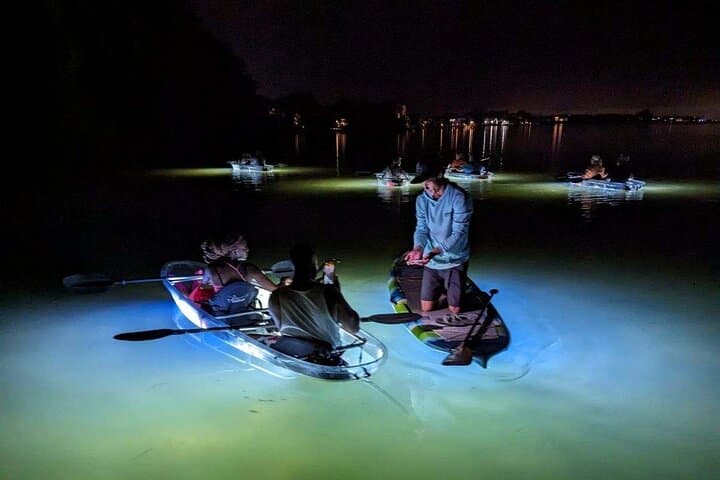 Anna Maria Island LED Night Paddleboard Tour: Mangrove & Wildlife Experience photo 3