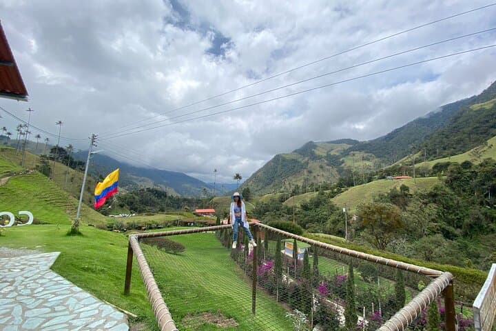Cocora Valley, Salento & Coffee Farm Day Tour — Wax Palms and Colombian Coffee photo 3