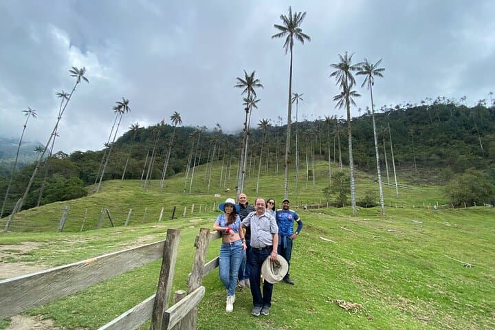 Cocora Valley, Salento & Coffee Farm Day Tour — Wax Palms and Colombian Coffee photo 4