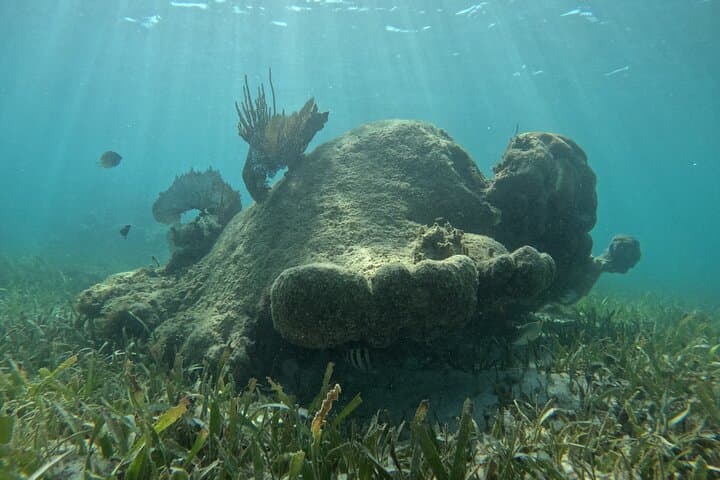 Snorkel Paradise Cancun: 5-in-1 Guided Snorkel Tour for Non-Swimmers photo 4