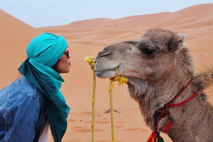 Riyadh Red Dunes VIP Quad Biking and Camel Riding — 3.5-Hour Desert Adventure photo 4
