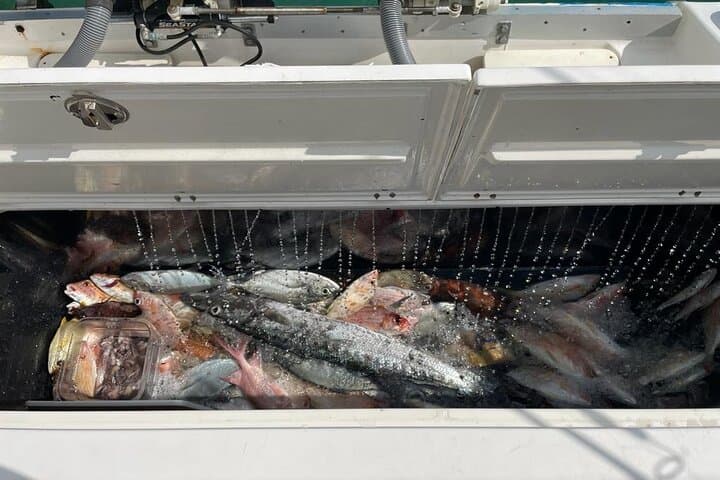 Half-Day Bottom Fishing Charter in Providenciales — Snapper & Grouper Action photo 2