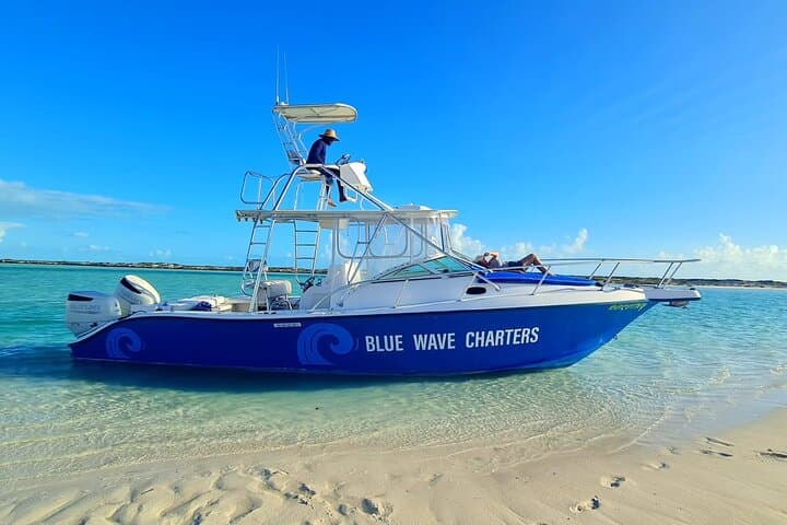 Half-Day Bottom Fishing Charter in Providenciales — Snapper & Grouper Action photo 6