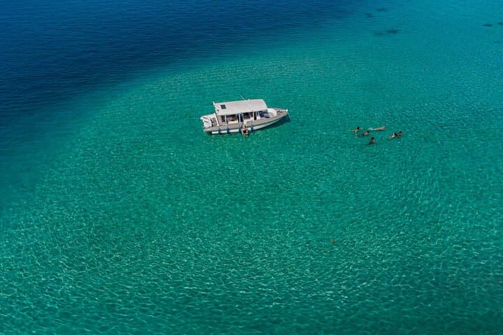 Tahiti Ocean Discovery: Guided Snorkeling with Turtles and Coral Gardens photo 4
