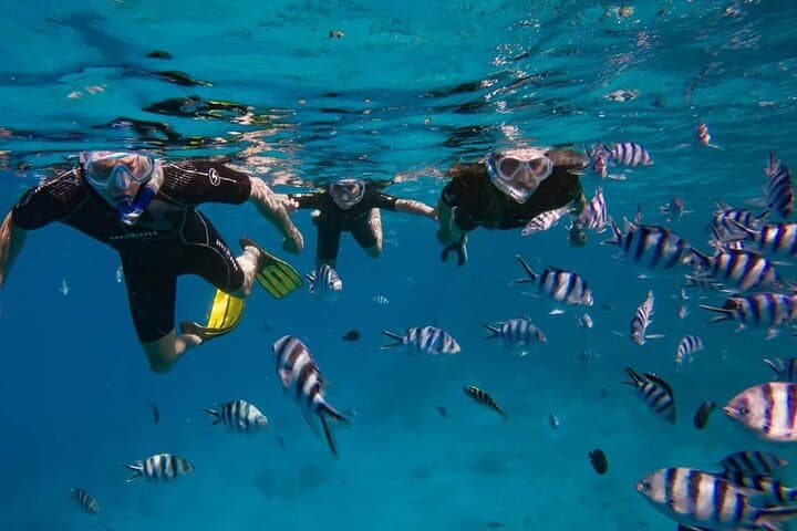 Tahiti Ocean Discovery: Guided Snorkeling with Turtles and Coral Gardens photo 1