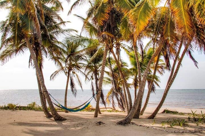 Private Clothing-Optional Beach Day Pass in Xcalak — Kayak, SUP & Snorkel the Caribbean photo 3