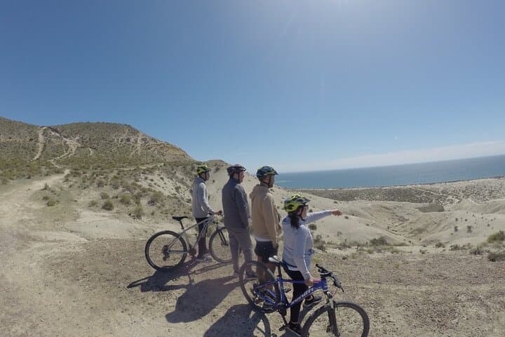 Mountain Biking to Punta Loma: Sea Lion Watching in Puerto Madryn photo 2