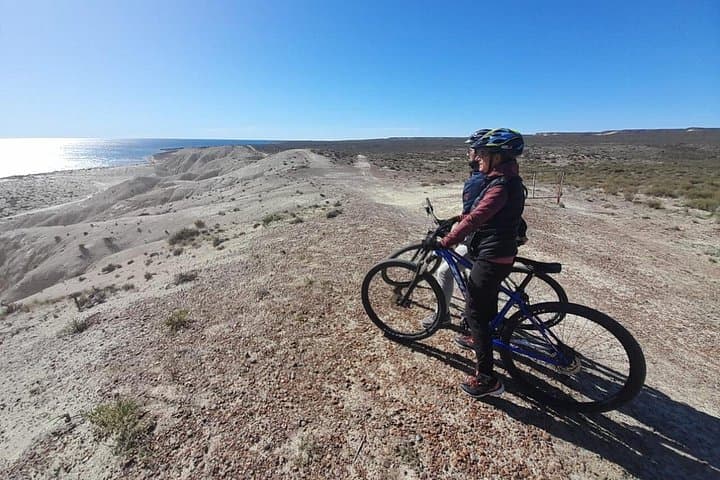 Mountain Biking to Punta Loma: Sea Lion Watching in Puerto Madryn photo 4