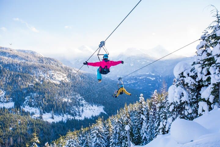 Superfly Ziplines on Cougar Mountain — Whistler’s Four-Line Dual Zip Experience photo 2
