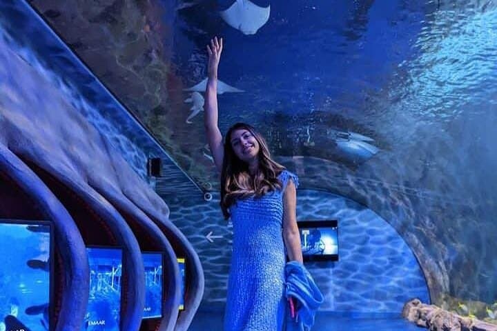 Dubai Aquarium & Underwater Zoo: Walk the Giant Tunnel, See Penguins and Sharks photo 3