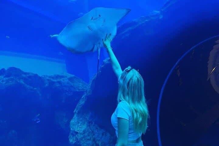 Dubai Aquarium & Underwater Zoo: Walk the Giant Tunnel, See Penguins and Sharks photo 4