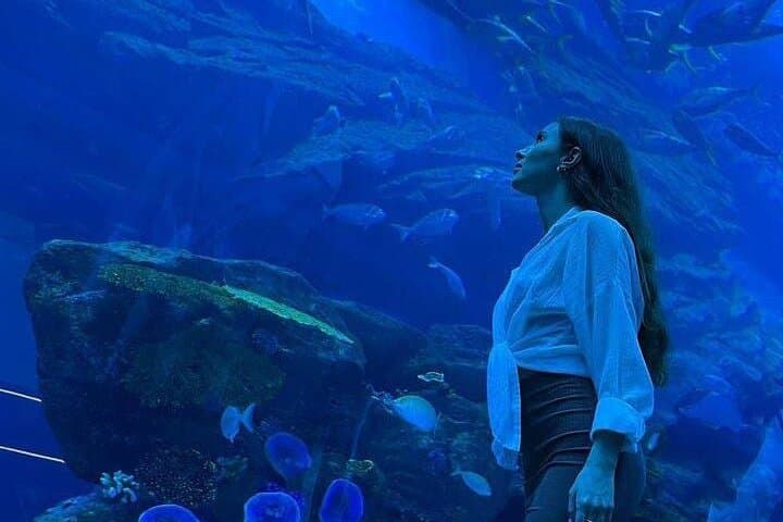 Dubai Aquarium & Underwater Zoo: Walk the Giant Tunnel, See Penguins and Sharks photo 5