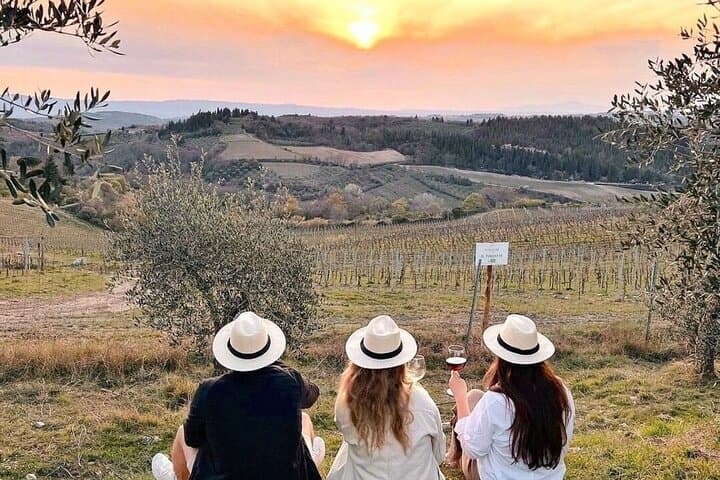 Private Chianti Tour and Wine Tasting — Montefioralle, Castles & Chianti Classico photo 4