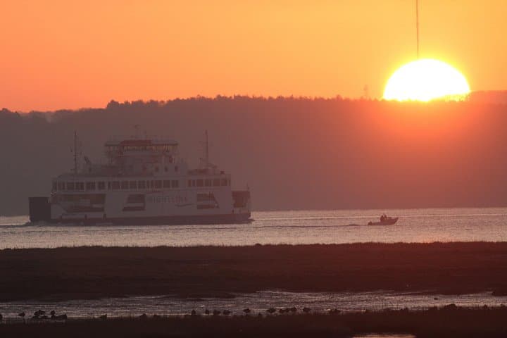 Lymington Wildlife Discovery Walk: New Forest Coast Birding, History & Seawall Stroll