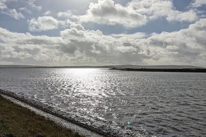 Lymington Wildlife Discovery Walk: New Forest Coast Birding, History & Seawall Stroll photo 2