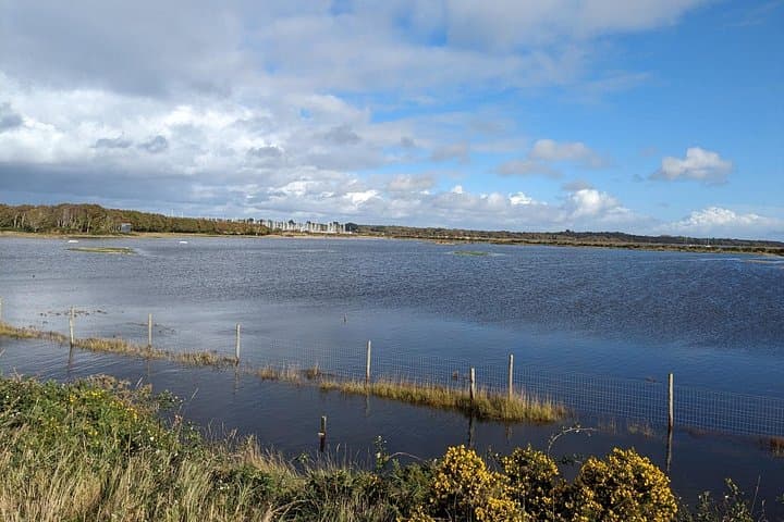 Lymington Wildlife Discovery Walk: New Forest Coast Birding, History & Seawall Stroll photo 3