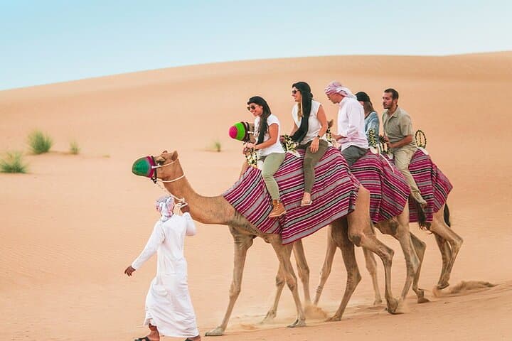 Camel Trekking in Abu Dhabi Desert: Half-Day Bedouin Ride & Camp Experience photo 3