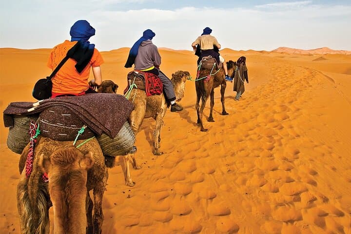 Camel Trekking in Abu Dhabi Desert: Half-Day Bedouin Ride & Camp Experience photo 5