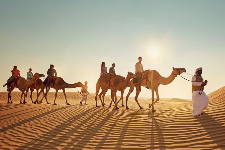 Camel Trekking in Abu Dhabi Desert: Half-Day Bedouin Ride & Camp Experience photo 6