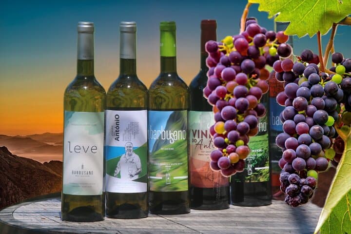 Cabo Girão Skywalk and 4x4 Vineyard Tour: Madeira Wine, Cliffs & Jeep Tracks