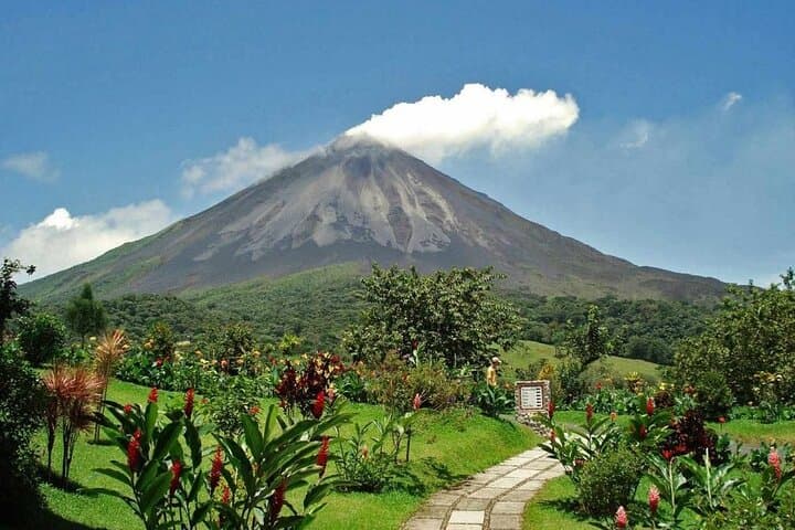 Hanging Bridges, Arenal Volcano Walk & La Fortuna Waterfall: Full-Day Adventure from La Fortuna
