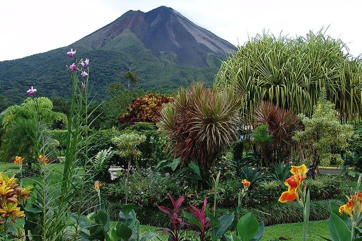Hanging Bridges, Arenal Volcano Walk & La Fortuna Waterfall: Full-Day Adventure from La Fortuna photo 2