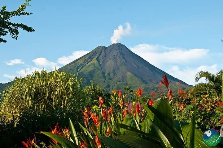 Hanging Bridges, Arenal Volcano Walk & La Fortuna Waterfall: Full-Day Adventure from La Fortuna photo 3