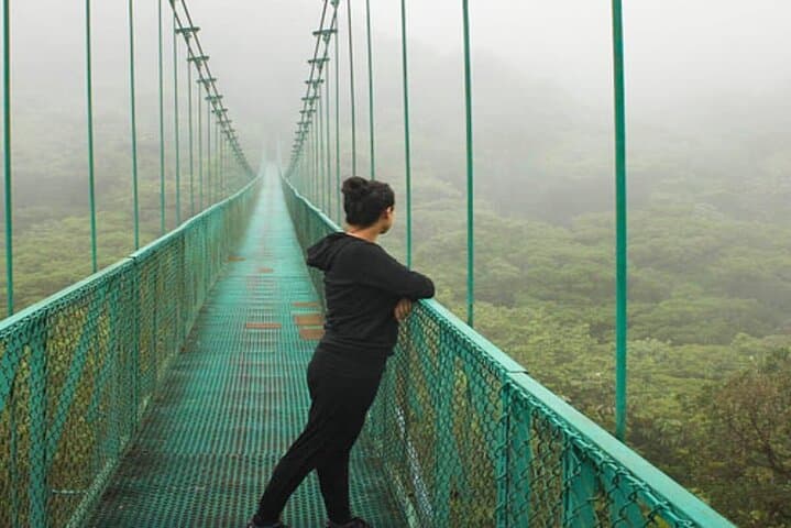 Hanging Bridges, Arenal Volcano Walk & La Fortuna Waterfall: Full-Day Adventure from La Fortuna photo 6