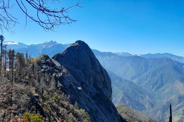 Private Sequoia & Kings Canyon Tour with Former Park Rangers photo 6