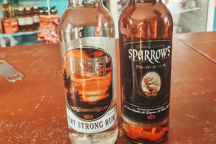 Rum and Fun Tour in Kingstown: Beach Time & Fort Charlotte Visit