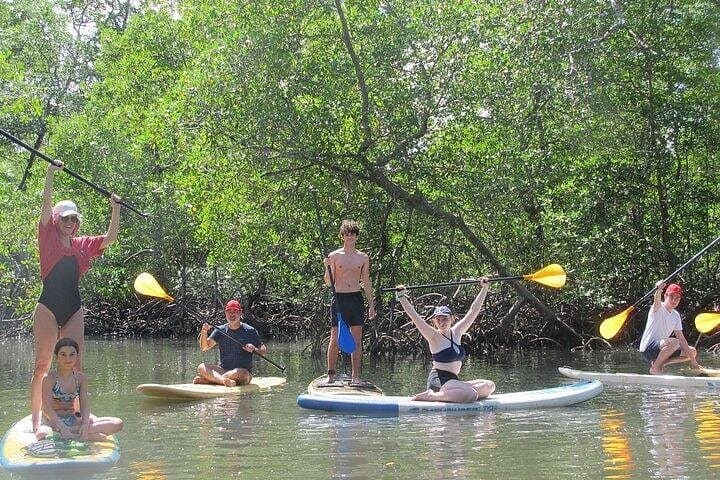 Mangrove Paddle Ride Sainte-Anne, Guadeloupe — Stand‑Up Paddle Through Protected Mangroves photo 5