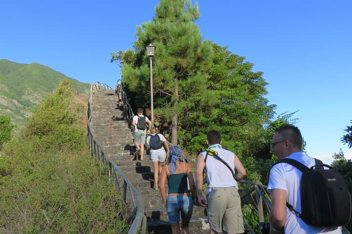 Madeira Vineyard 4x4 & Cabo Girão Skywalk Wine Tour photo 5