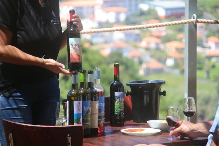 Enchanted Vineyards Wine 4x4 Tour and Cabo Girão Skywalk — Madeira Wine Safari photo 6