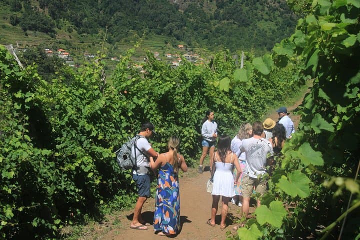Sea-Cliff Jeep Adventure & Quinta do Barbusano Wine Tasting — Half-Day Madeira Tour photo 3